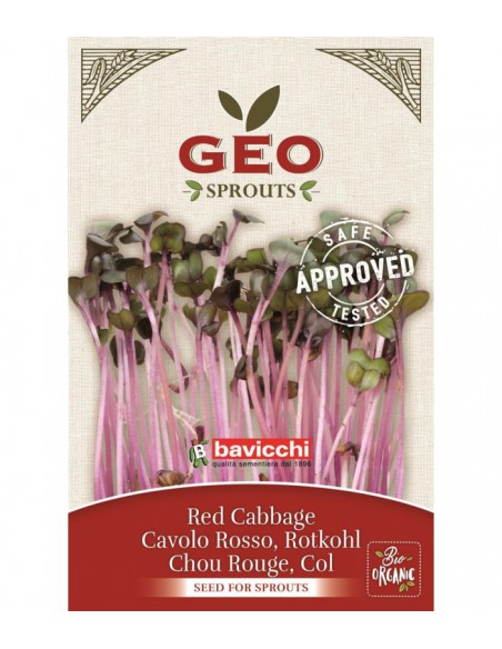 Czerwona kapusta EKO - nasiona na kiełki 12g / 300g - GEO Bavicchi