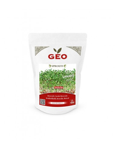 Brokuły EKO - nasiona na kiełki 13g / 300g - GEO Bavicchi