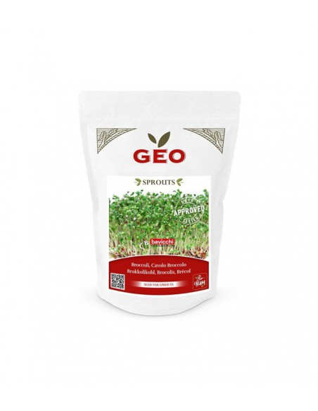 Brokuły EKO - nasiona na kiełki 13g / 300g - GEO Bavicchi