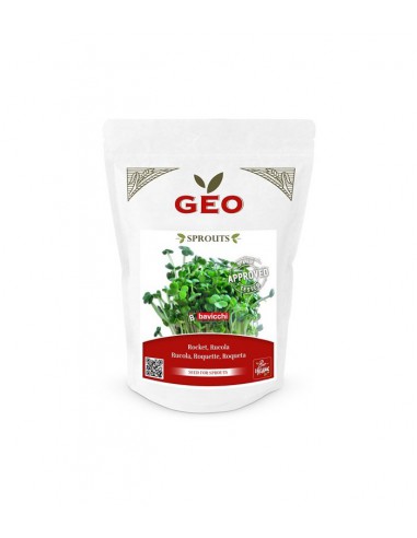 Rukola EKO - nasiona na kiełki 30g / 300g - GEO Bavicchi