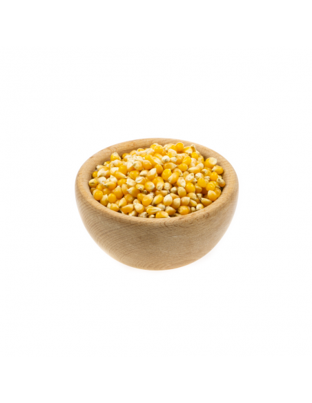Kukurydza popcorn BIO - 100g