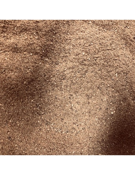 Przyprawa do pierników BIO - 10g