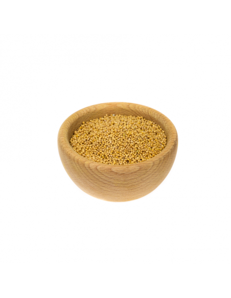 Gorczyca biała BIO - 50g