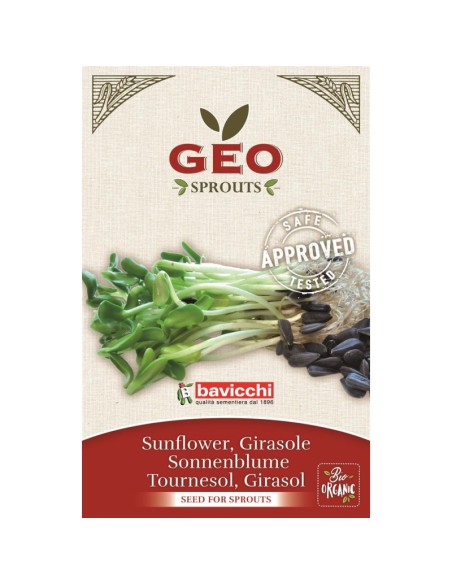 Słonecznik EKO - nasiona na kiełki 80g - GEO Bavicchi