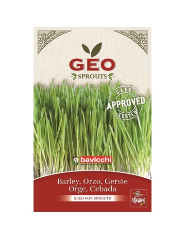 Jęczmień EKO - nasiona na kiełki 80g - GEO Bavicchi