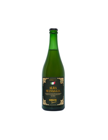 KOMBUCHA FIJOŁKA DANTE ALIGHIERI BIO 750 KBL