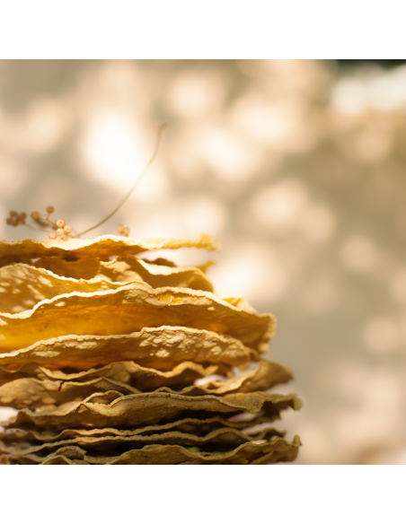 Tostelle z kolendrą 6 sztuk - Tortillas Molino