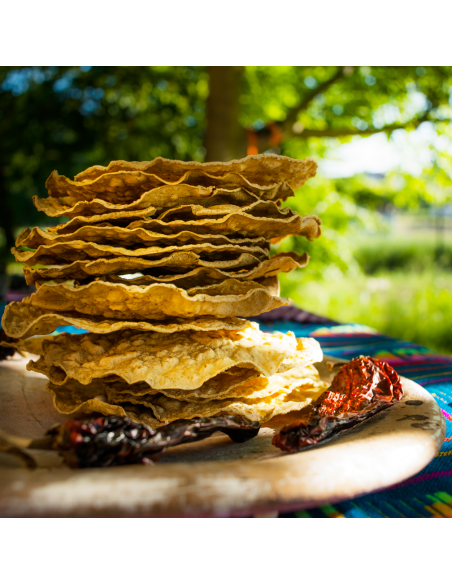 Tostelle z chilli 6 sztuk - Tortillas Molino