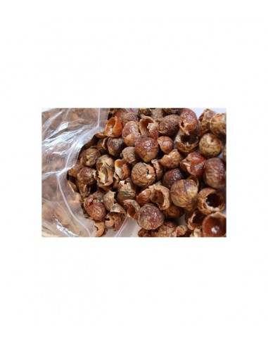 Orzechy piorące 1kg Alepia